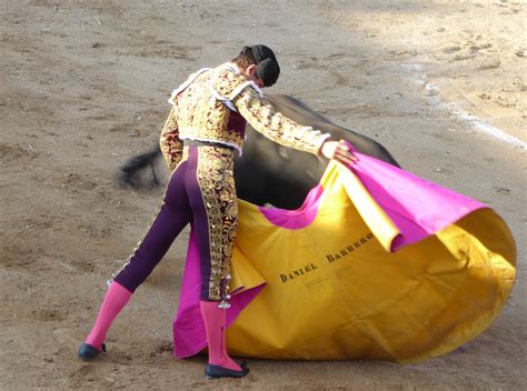 UNA NOVILLADA DE LOS MAÑOS ABRE HOY LA FERIA DE SAN ADRIÁN Toros en