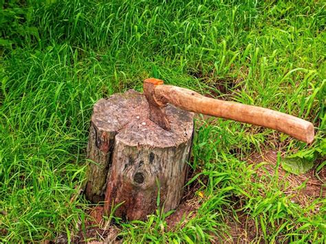 Hacha Para Cortar Madera En Un Tocón De árbol Foto Premium