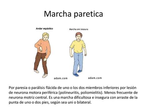 Tipos De Marcha Y Movimientos