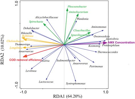 Rda Analysis Of Bacterial Community Structure And Environmental