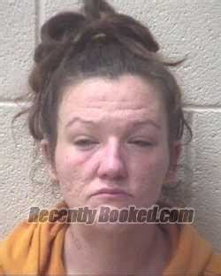 Recent Booking Mugshot For Amy Nicole Adkins In Alexander County