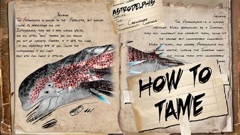 Ark Survival Evolved How To Tame Space Dolphin Astrodelphis Youtube