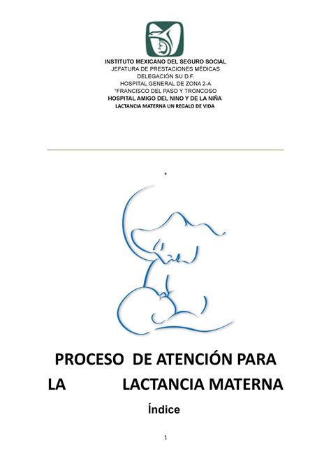 Manual De Politicas Lactancia Materna Hgz A Jefatura De