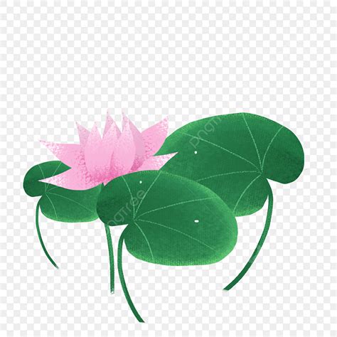 Lotus Leaf PNG Image Lotus Lotus Leaf Png Material Hand Painted