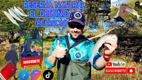 Pejerreyes Grandes En La Reserva Natural El Destino Pearson Pesca De