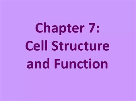 Chapter Cell Structure And Function Concept Map Map