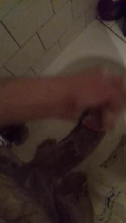 Yo En La Ducha Free Solo Man HD Porn Video C XHamster