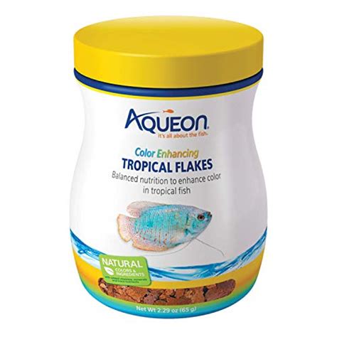 Best Live Foods For Tropical Fish