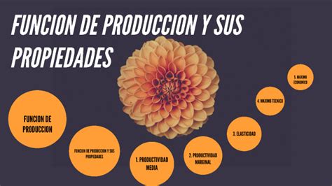 Funcion De Produccion Y Sus Propiedades By Saira Urrego On Prezi