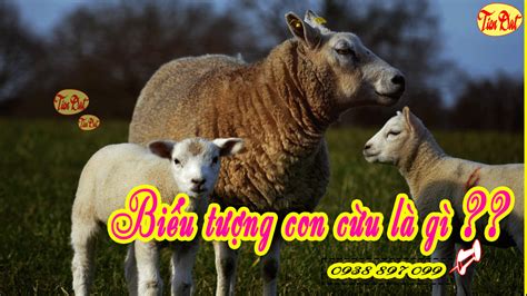 bieu tuong  cuu la gi