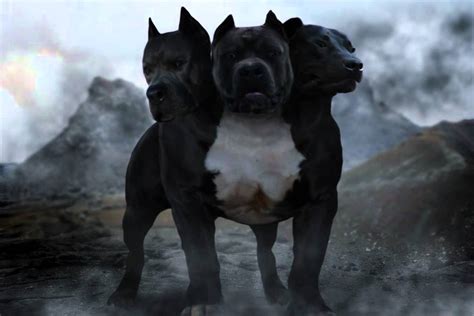 Post your dog (and rate my dog) | Sherdog Forums | UFC, MMA & Boxing ...