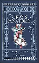 Gray S Anatomy Leatherbound Classics Leatherbound Classic Collection