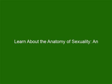 Learn About The Anatomy Of Sexuality An Exploration Of Human Sexuality