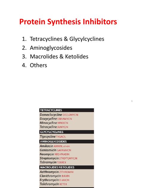 Protein Synthesis Inhibitors 2 | PDF