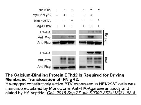 美国apexbio中文官网 Influenza Hemagglutinin Ha Peptide Epitope Of Ha Tag Peptide Cas 92000 76 5