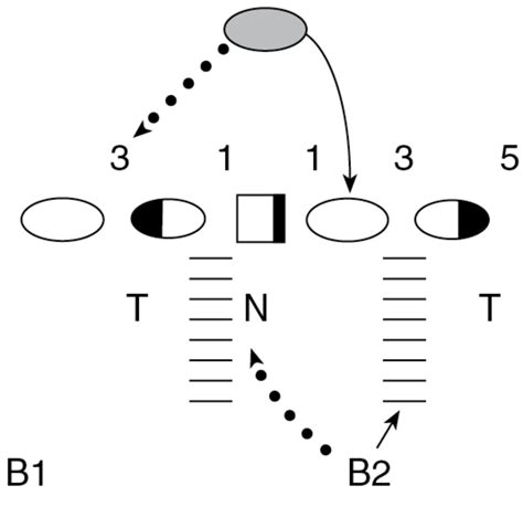 Linebacker Technique – Human Kinetics