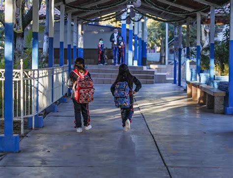 Mañana Regresan A Clases Estudiantes De Educación Básica