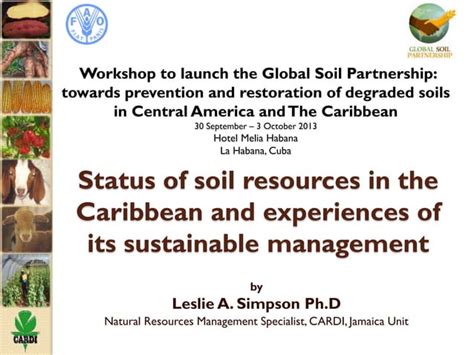 Status Of Soil Resources In The Caribbean And Experiences Of Its