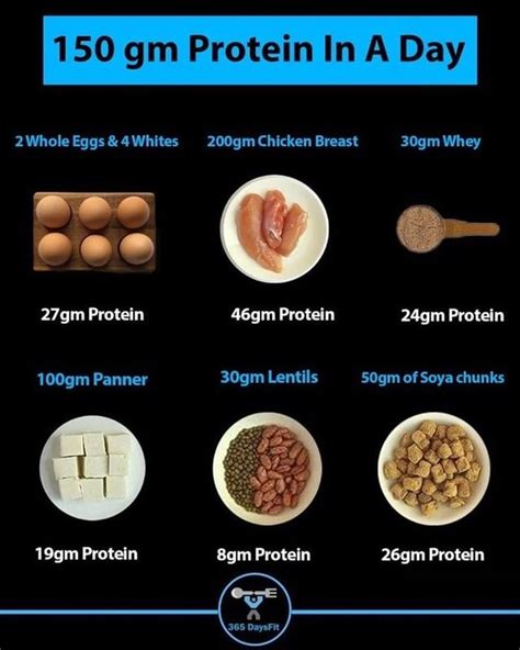 daysfit  instagram   protein   consume daily