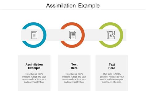 Assimilation Example Ppt Powerpoint Presentation Outline Styles Cpb Presentation Graphics