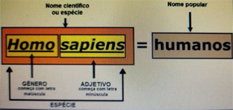 Como se escreve o nome de uma espécie E o de uma subespécie brainly