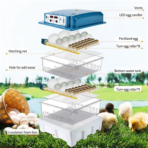 Vevitts 120 Incubadoras De Huevos Para Incubar Huevos Con Control