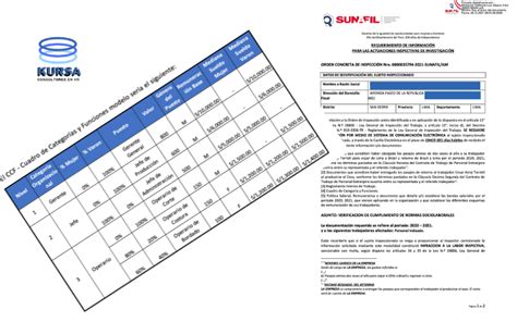 Cuadro de Categorías y Funciones Sunafil