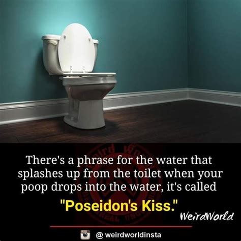 Pin By Itzy Rose On Interesting Toilet Poseidon Splash