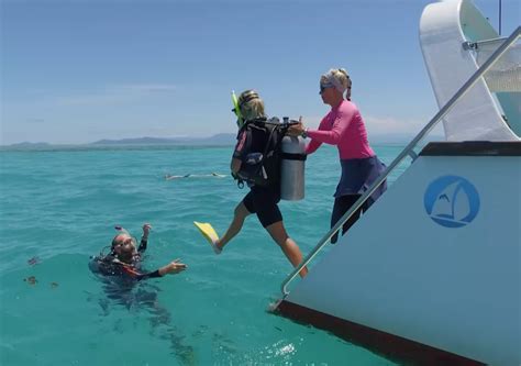 Cairns Snorkel And Dive Tour Small Group Tour 20 Guests