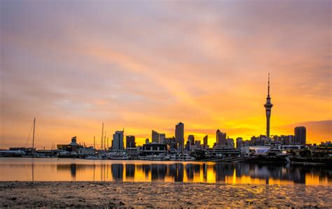 Lighting Up The City Of Sails Nz