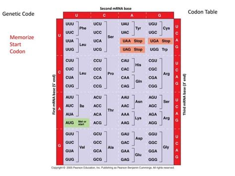 Microbial Genetics Ppt