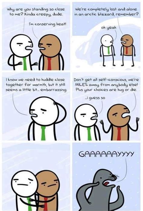 Of Course Funny Memes Funny Comics Gay Humor