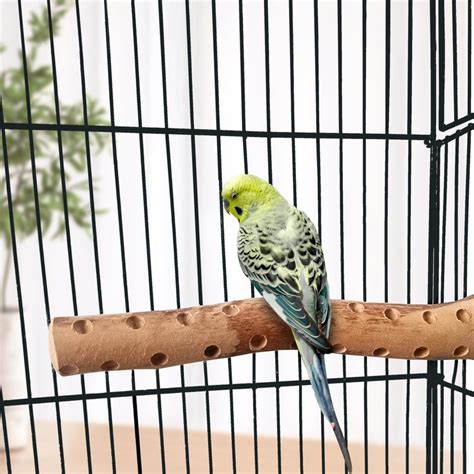 Natural Bird Perches, Bird Cage Perch, Bird Perches, Parrot Perches ...