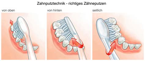 TELLO Der Mythos der elektrischen Zahnbürste