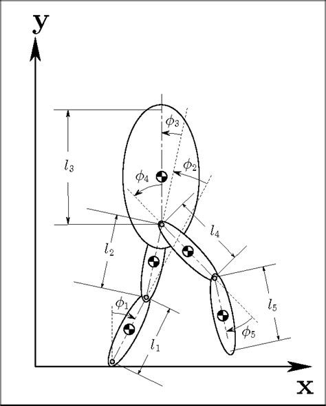 Figure 1 From Dynamics Of Bipedal Gait Part IObjective Functions And