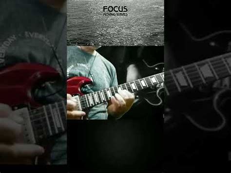 Focus Sylvia Guitar Cover Shorts Videoshorts YouTube