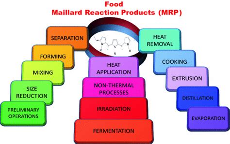 Ssurvivor: Maillard Reaction Food Examples