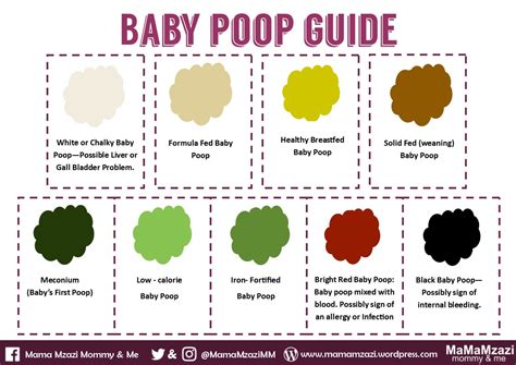 Baby Poop Guide – Mamamzazi Mommy & Me