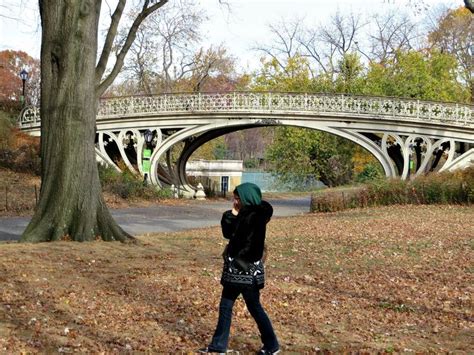 The Beautiful Gothic Bridge In New York Citys Central Park Was Made Of