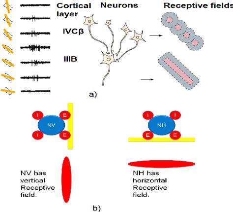 Figure From Neuromorphic Circuit Modeling Directional Selectivity In