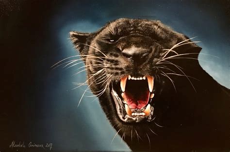 Black panther | Markéta Grimaux Art