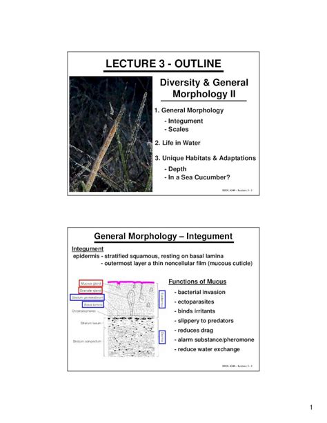 PDF LECTURE 3 OUTLINE BIOL 4340 Lecture 3 7 General