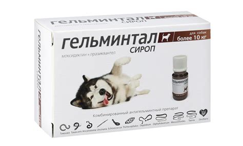 10 лучших глистогонных препаратов для собак и кошек в рейтинге 2020