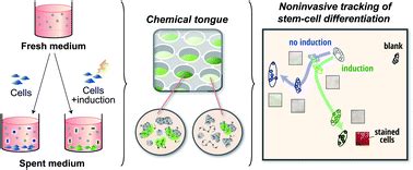 A Polymer Based Chemical Tongue For The Non Invasive Monitoring Of