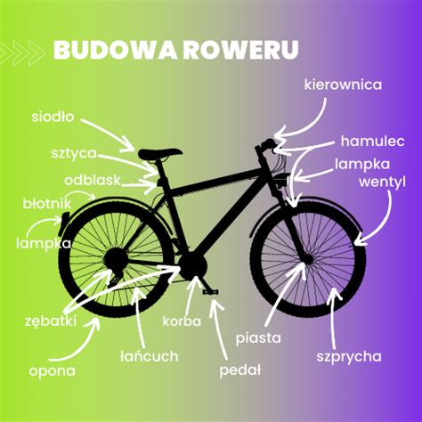 Rodzaje rowerów jaki wybrać Poznaj typy rowerów i ich przeznaczenie