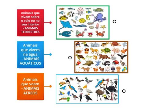 Animais Aquáticos Terrestres E Aéreos