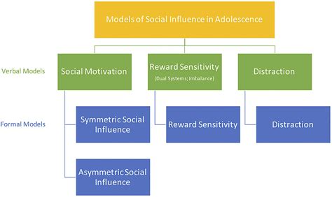 Frontiers Social Influence In Adolescent Decision Making A Formal