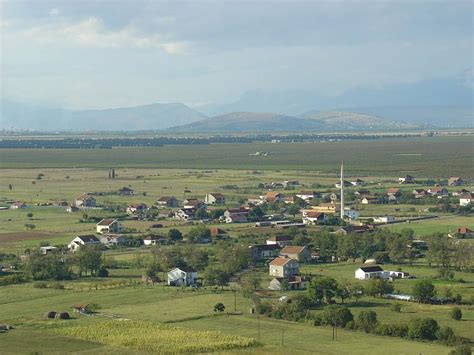 Vladni (English)