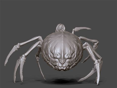 Arachne Spider Queen 35mm Scale 3d Model 3d Printable Cgtrader