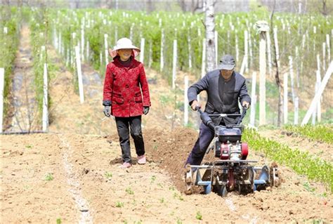 创新发展模式 带动农户增收 三门峡日报数字报刊平台